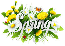 We did not find results for: Spring Flowers Png Clipart Spring Transparent Background Novocom Top