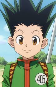 My theory is that he had to much power inside of him and he. Gon Freecss Character Giant Bomb