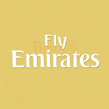 The english version went below. Real Madrid Fly Emirates Logo