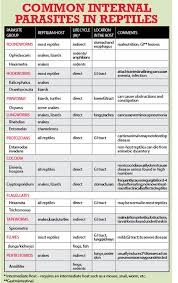 49 best parasitology images in 2019 veterinary technician