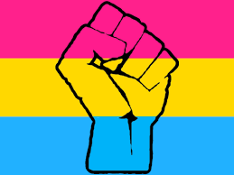 We have 66+ amazing background pictures carefully picked by our community. Pansexual Flag Wallpapers Wallpaper Cave