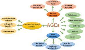 The Role Of Advanced Glycation End Products In Human Infertility Sciencedirect