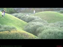 Corajoud Parc Coudrays 04 Architecture Du Paysage Design D Amenagement Paysager Parcs