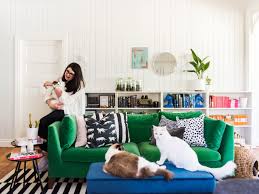 Here are the 21 best ways to remove and prevent pet hair. How To Remove Pet Hair From Furniture Floors More Apartment Therapy