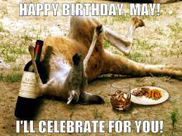 45 Most Funny Kangaroo Meme Photos And Images