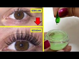 2 Resep Menebalkan Alis Dan Bulu Mata Secara Alami 100 Efektif Sehat Tube Youtube Bulu Mata Bulu Mata