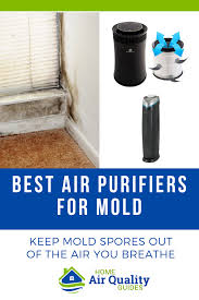 When the mold spores proliferate enough, they will float through the air as easily as dust searching. Looking For The Best Air Purifier For Mold This Free Guide Shows You How Pick A Mold Air Purifier That Actually Wo Air Purifier Air Purifier Benefits Purifier