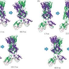 Apa itu protein fungsional : Sds Page With Uninduced And Iptg Induced E Coli Bl21 De3 Download Scientific Diagram