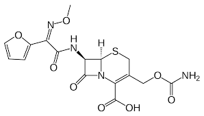 Cefuroxime Wikipedia