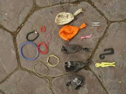 Elsternest Im Garten So Konnen Sie Effektiv Die Elster Vertreiben Elster Garten Nestchen