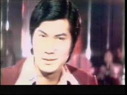 Where the Seagull Flies