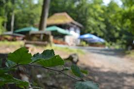 Sie gelangen in wenigen minuten zu den spielen der first vienna, des ältesten österreichischen fußballvereins. Uber Uns Hohe Wart Haus