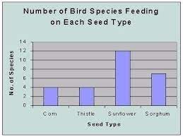 Science Bar Graph Example Printables And Charts With Regard To Intended For Science Bar Graph Example22347 Bar Graphs Early Math Graphing