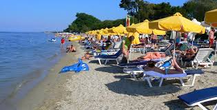 We did not find results for: Bros Travel