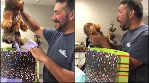 Hadiah indah untuk ayah is a popular web novel written by the author nisaa_7010, covering romansa anak muda genres. Dapat Kado Spesial Di Hari Ayah Reaksi Pria Ini Menyentuh Hati Citizen6 Liputan6 Com