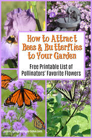 How To Attract Pollinators To Your Garden Gingham Gardens In 2020 Butterfly Garden Plants Pollinator Garden Gardening For Beginners