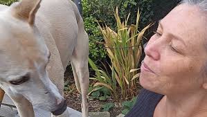 Fundraiser for Emma Nelson by Ashleigh Murphy : Help Emma get a wheelchair  to keep her MerryPaws dream alive