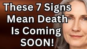 Andi Bernat's Instagram, Twitter & Facebook