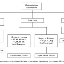Maybe you would like to learn more about one of these? Pdf Current Treatment Strategies In Malignant Pleural Mesothelioma With A Treatment Algorithm