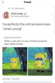 S To The I To The M To The P Meme When My Boyfriend Asks If I M Okay After I Have A Full Mental Break Funny Facts Relatable Post Relatable