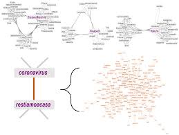 May 30, 2021 · the afl's covid reshuffle has seen the western bulldogs diverted from their planned trip to perth today — instead being sent to sydney for the week ahead of their june 6 clash with fremantle. Bdcc Free Full Text Lockdown Network Enhanced Emotional Profiling In The Time Of Covid 19 Html