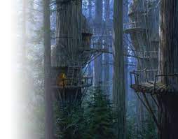 Best Tree Houses On Screen Cool Tree Houses Tree House Tree