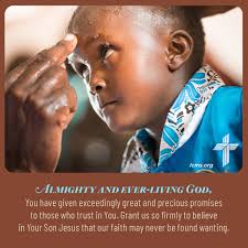 The Lutheran Church—Missouri Synod