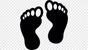 Click the download button to view. Coloring Book Footprints Animal Track Footprints Hand Paw Png Pngegg