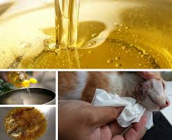 Ubat kurap di farmasi, ubat kurap cap kaki tiga, ubat kurap paling mujarab, ubat kurap kucing, ubat kurap tradisional, ubat kurap manusia, u. Minyak Lebihan Menggoreng Ikan Jangan Dibuang Berguna Rawat Kucing Berkurap Keluarga