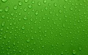 .in hd high resolution jpg images format. Green Wallpapers Hd Pixelstalk Net