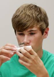 Sons follow in father's footsteps at fair