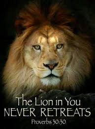 The Lion In You Never Retreats Proverbs 30 30 Lion Quotes Lion Of Judah Bible