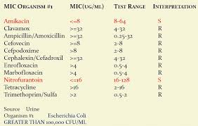 Feline Urinary Tract Disease Urinary Tract Infections In Cats Utis Long Beach Animal Hospital