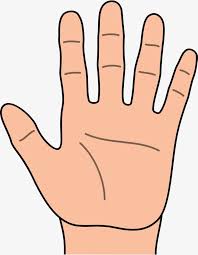 Left Hand Cartoon Hd Atividades De Alfabetizacao Maos Educacao Infantil Cartoon hand palm free png stock. pinterest