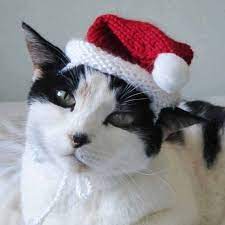 Knitting Pattern Pet Hat Costume Pdf Instant Download Etsy Cat Hat Pattern Crochet Cat Hat Crochet Cat Hat Pattern