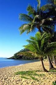 Trinity Beach Queensland Australia Tough Life Living Two Streets From This Beach Trinity Beach Beach Beautiful Beaches