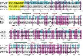 We did not find results for: Structure Of Activated Thrombin Activatable Fibrinolysis Inhibitor A Molecular Link Between Coagulation And Fibrinolysis Molecular Cell