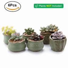Buy mini succulents for your garden! Ceramic Korea Flowerpot For Cactus Succulent Planter Plant Pot Cactus Flower Pot Bonsai Container Garden Decoration 6pcs Lot Buy At The Price Of 13 69 In Aliexpress Com Imall Com