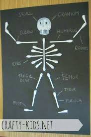 Skeletal System Human Body Activities Human Body Science For Kids