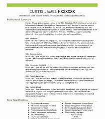 Servicenow Administrator Resume Example Company Name