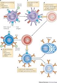 Describe how to measure ph with indicators and meters. Vaccine Delivery A Matter Of Size Geometry Kinetics And Molecular Patterns Nature Reviews Immunology