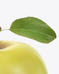 Download Apple Mockup In Object Mockups On Yellow Images Object Mockups PSD Mockup Templates