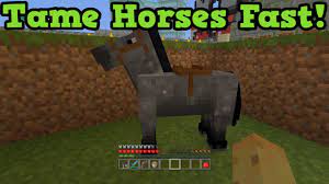 Minecraft Xbox 360 Ps3 Fastest Way To Tame A Horse Minecraft Xbox Minecraft Videos