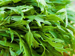 15 Mouthwatering And Protein Packed Bitter Greens Worth A Bite Organic Authority