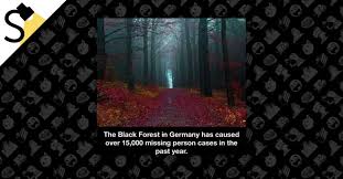 At least two people have recently gone missing outside the national forest where i live in the upper on a large map of north america on his office wall,paulides has identified 59 clusters of people. Fact Check Did Germany S Black Forest Cause 15 000 Missing Person Cases Last Year