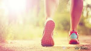 myra willingham (myrawilling)