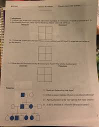 In some chickens, the gene for feather color is controlled by codiminance. Solved Chta Uu Incomplete Dominance 6 Color In Snapdrag Chegg Com