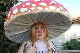 Mushroom Hat B Pattern And Tutorial Etsy In 2021 Mushroom Hat Mushroom Costume Stuffed Mushrooms