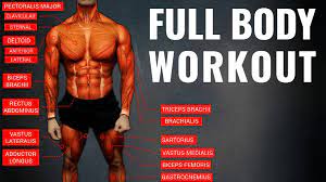 Keep your body in a when it comes to how many days a week should you work out, as a beginner, it is advisable to do some. The Best Science Based Full Body Workout For Growth 11 Studies