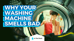 This is a concerning (but relatively common!) issue for a number of folks with front load washing machines. Washing Machine Smells Like Sewage Causes And Solutions